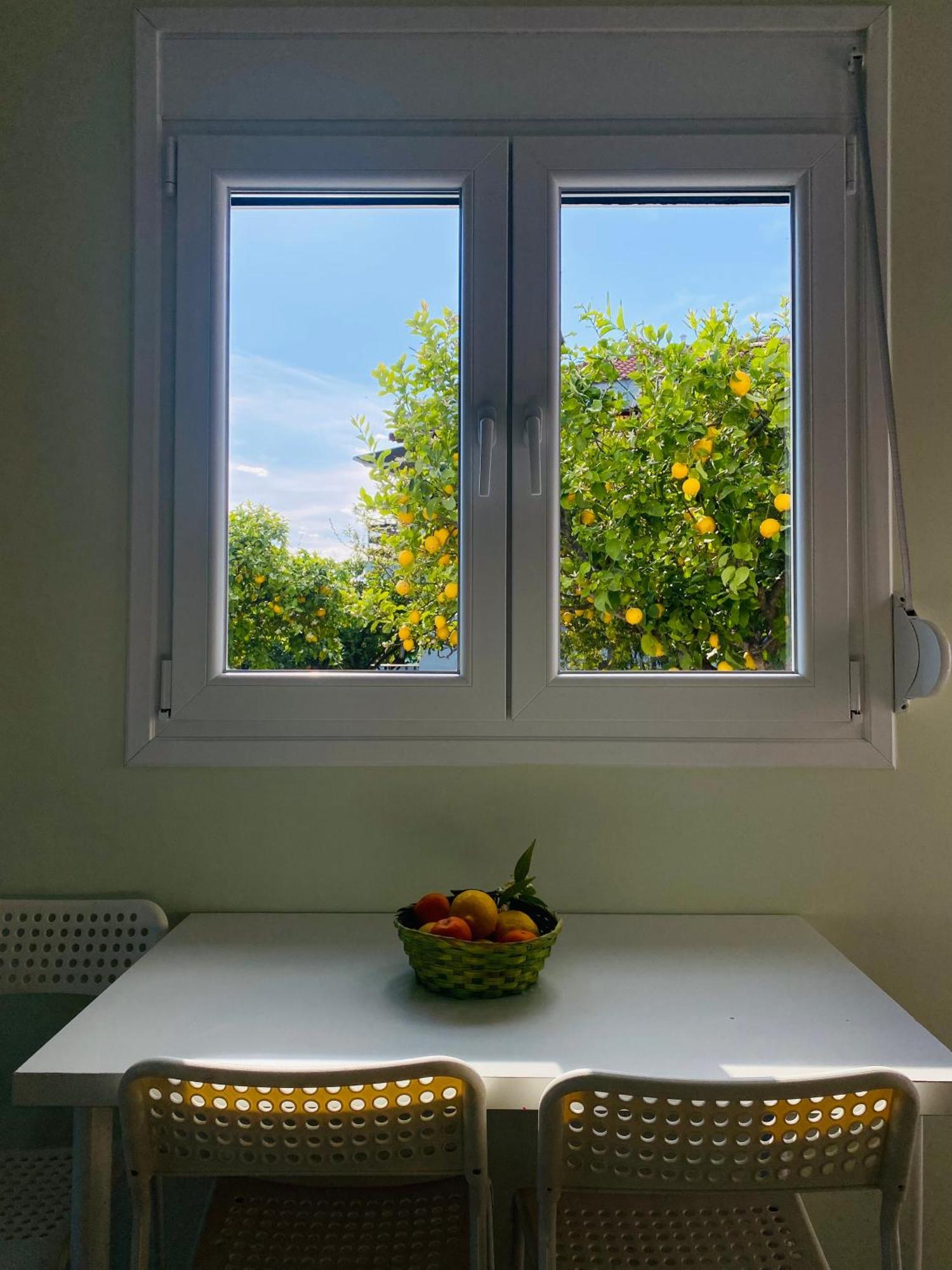 Appartement Ktima Klimentini à Vivári Extérieur photo